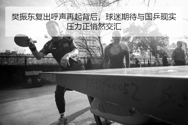 樊振东复出呼声再起背后，球迷期待与国乒现实压力正悄然交汇（KAIYUN）